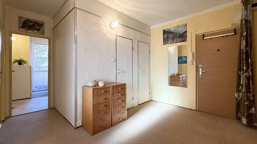 Prodej bytu 2+1, Brno, Chopinova, 58 m2