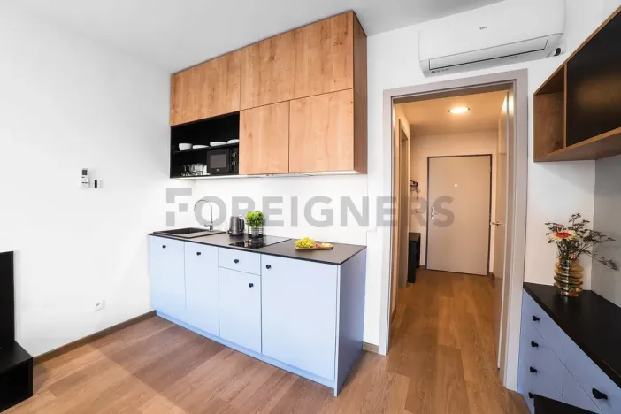 Pronájem bytu 1+kk, Olomouc, Edmunda Husserla, 29 m2