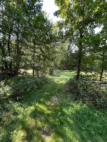 Dražba pozemku, Krompach, 21972 m2