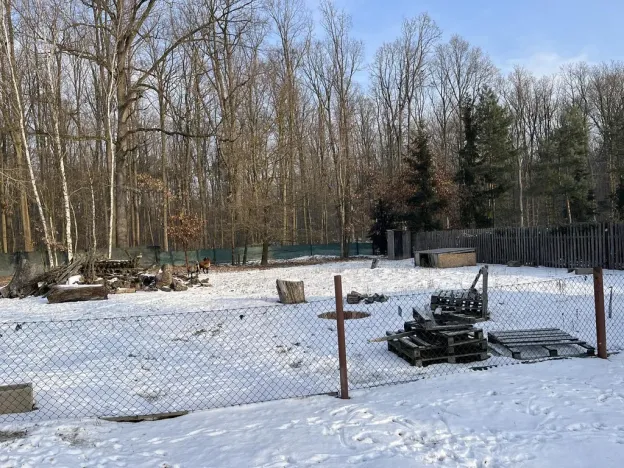 Prodej pozemku, Chlumec nad Cidlinou - Chlumec nad Cidlinou IV, Spravedlnost, 1659 m2