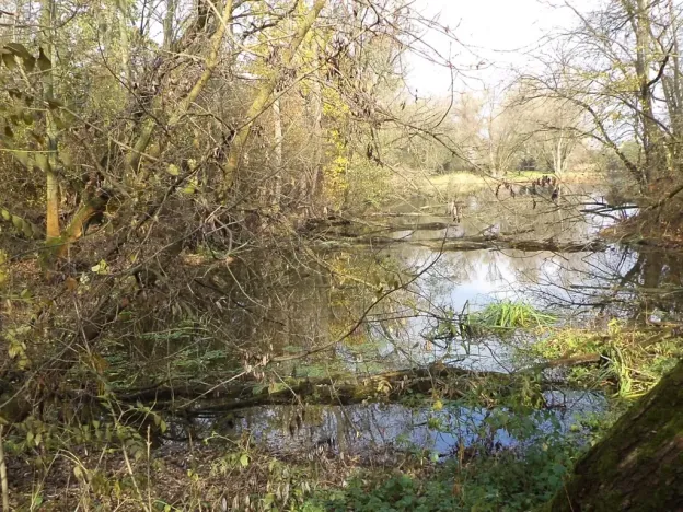 Dražba pozemku, Otrokovice, 810 m2