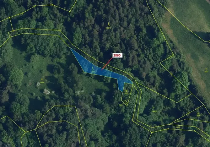 Dražba lesa, Český Dub, 662 m2