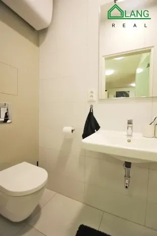 Pronájem bytu 1+kk, Brno, Rumiště, 25 m2