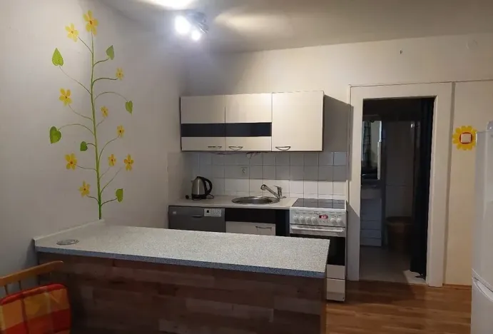 Pronájem bytu 2+kk, Plzeň, U Bachmače, 53 m2