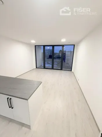 Pronájem bytu 1+kk, Přerov, Seifertova, 39 m2