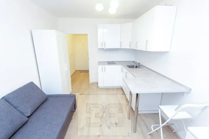 Pronájem bytu 1+kk, Praha - Krč, Budějovická, 21 m2
