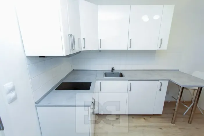 Pronájem bytu 1+kk, Praha - Krč, Budějovická, 21 m2
