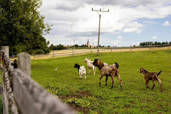 Prodej chaty, Litíč, 60 m2