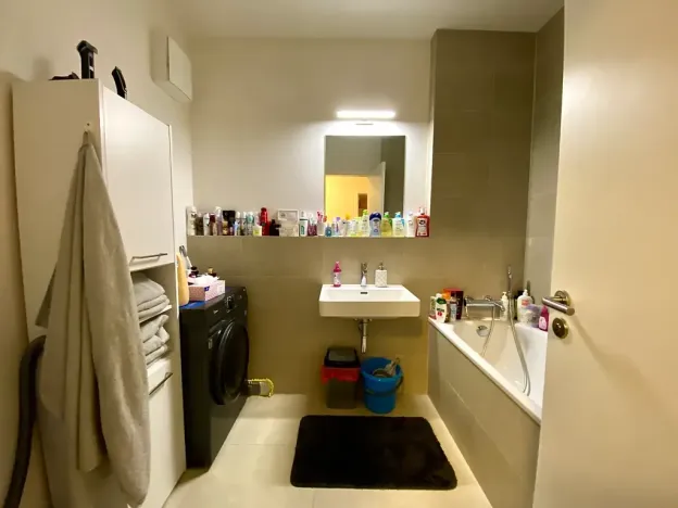 Prodej bytu 2+1, Brno, U Červeného mlýna, 56 m2