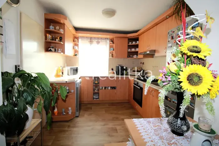 Prodej rodinného domu, Darkovice, Údolní, 180 m2