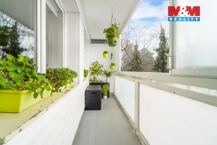 Prodej bytu 3+kk, Pardubice - Polabiny, Družstevní, 54 m2