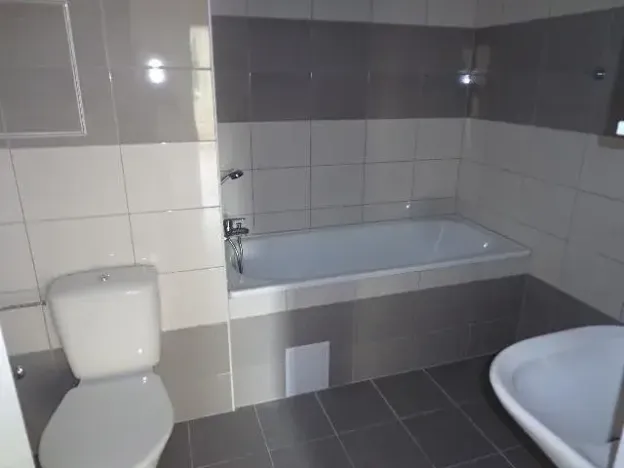 Pronájem bytu 3+1, Ústí nad Labem, Dr. Horákové, 90 m2