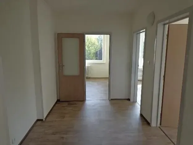 Pronájem bytu 3+1, Ústí nad Labem, Dr. Horákové, 90 m2