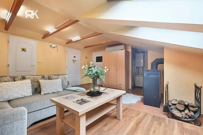 Prodej rodinného domu, Nová Ves I, Legerovo nám., 470 m2