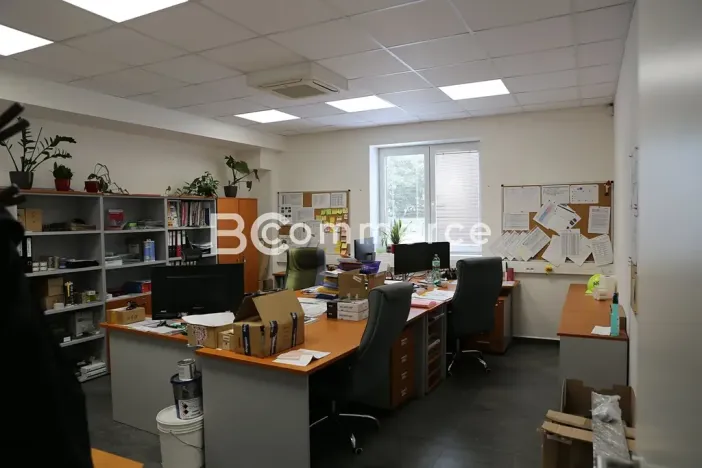 Pronájem kanceláře, Brno, 240 m2