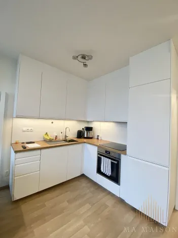 Pronájem bytu 2+kk, Praha - Žižkov, Olgy Havlové, 51 m2