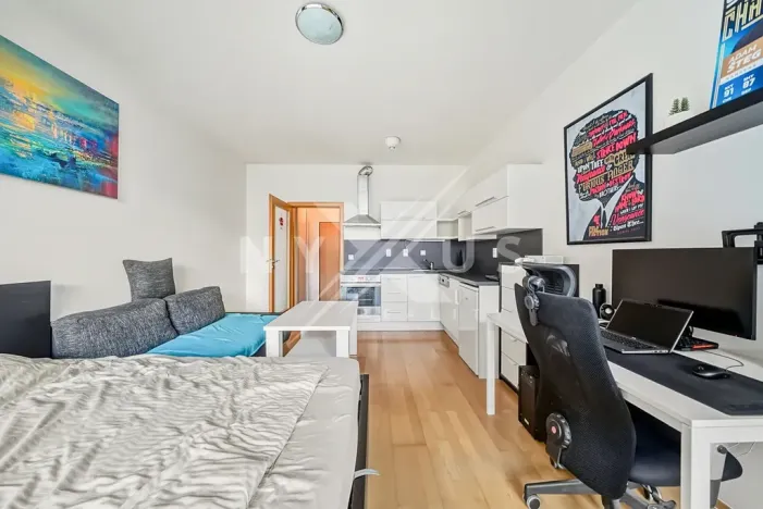 Prodej bytu 1+kk, Praha - Košíře, Pod Kavalírkou, 28 m2