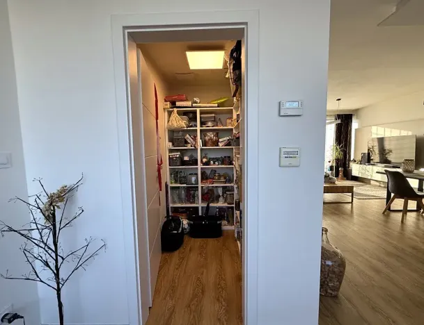 Pronájem bytu 3+kk, Brno, Kumpoštova, 152 m2