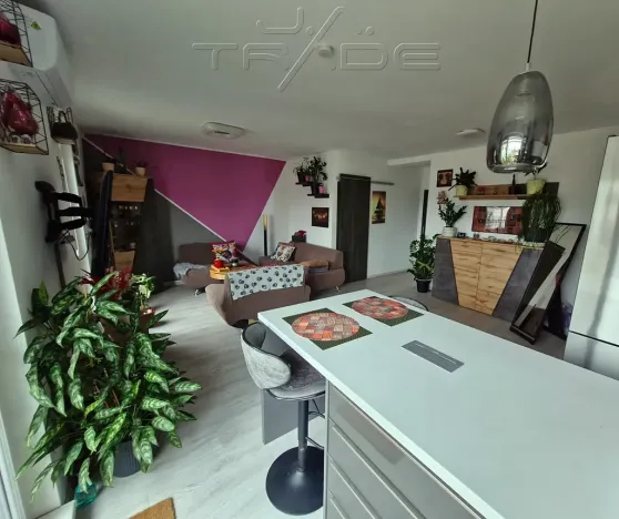 Prodej bytu 2+kk, Brno, Vomáčkova, 66 m2