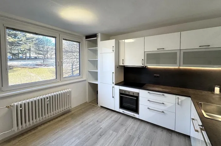 Prodej bytu 1+1, Brno - Kohoutovice, Prokofjevova, 36 m2