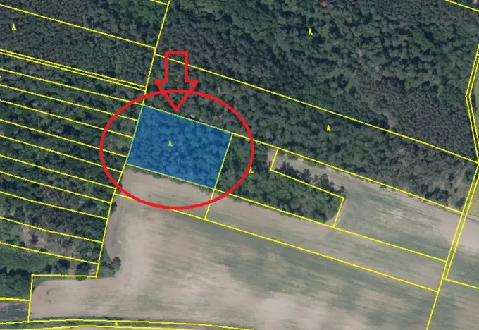 Prodej lesa, Budyně nad Ohří, 3763 m2