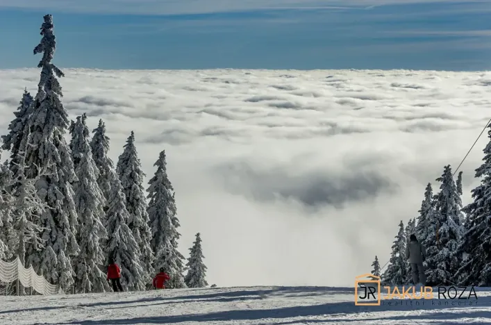 Prodej bytu 1+1, Černý Důl, 24 m2