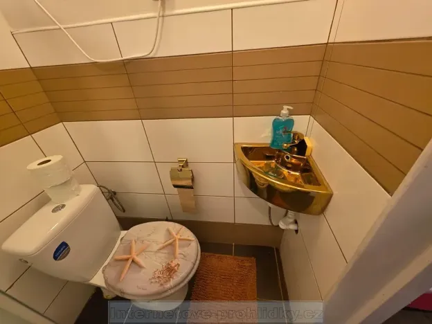 Pronájem ubytování, Praha - Modřany, Pod sady, 16 m2