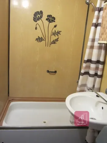 Prodej bytu 1+kk, Brno, Prušánecká, 33 m2