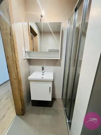 Pronájem bytu 1+kk, Olomouc, Frištenského, 32 m2