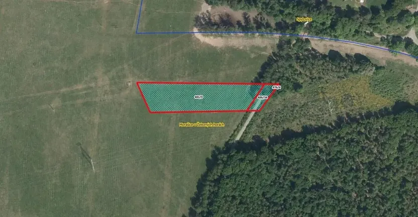 Prodej louky, Morašice, 5781 m2