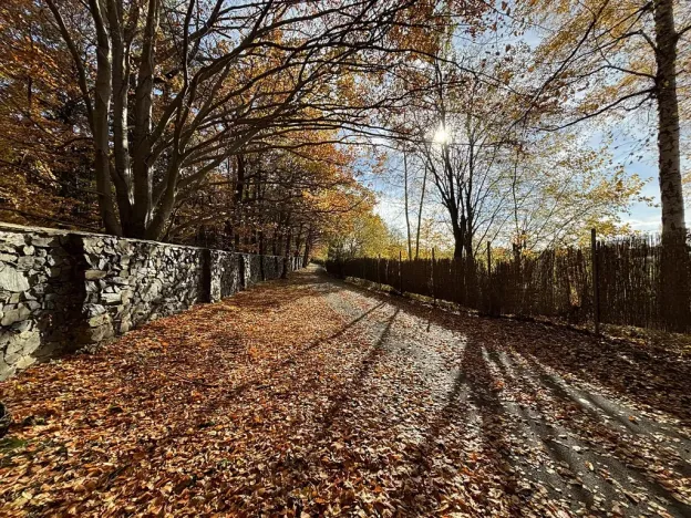 Prodej bytu 3+kk, Jesenice, Cedrová, 63 m2