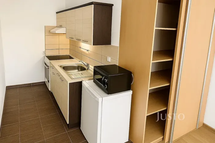 Pronájem bytu 1+kk, Ústí nad Labem, Vinařská, 31 m2