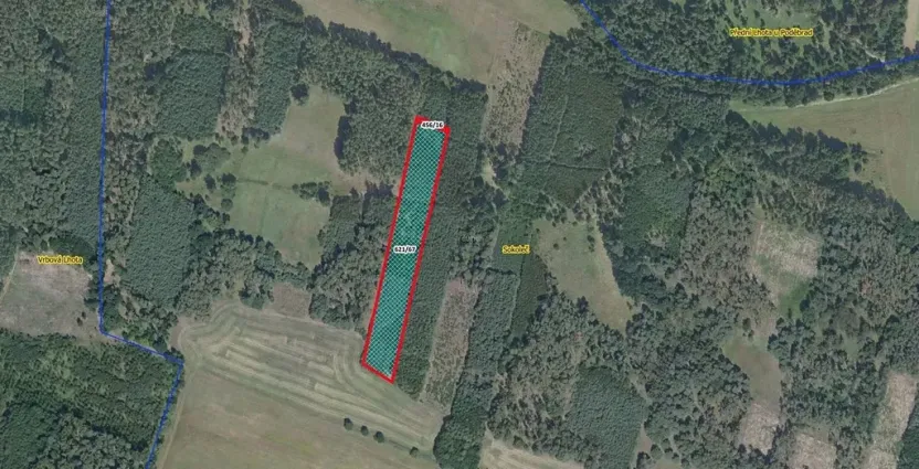 Prodej lesa, Sokoleč, 9084 m2