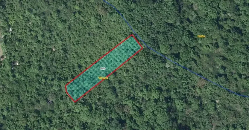 Prodej lesa, Třebenice, 1475 m2