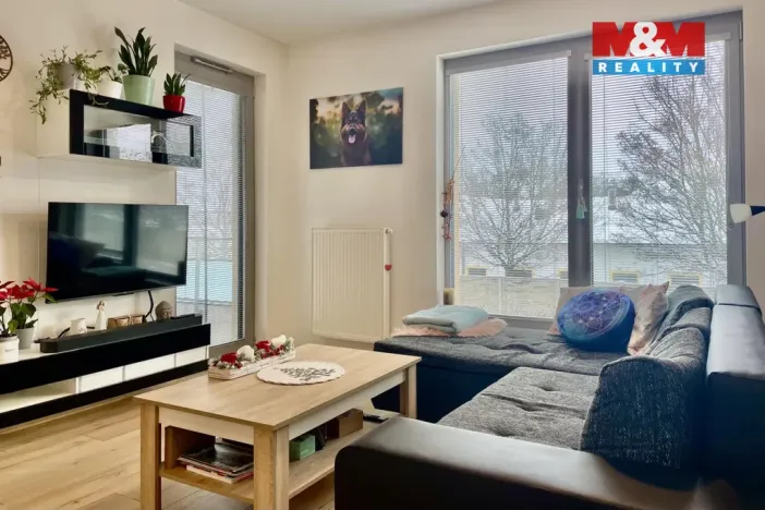 Pronájem bytu 2+kk, České Budějovice - České Budějovice 2, Na Zlaté stoce, 52 m2