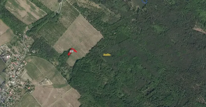 Prodej lesa, Horušice, 1029 m2