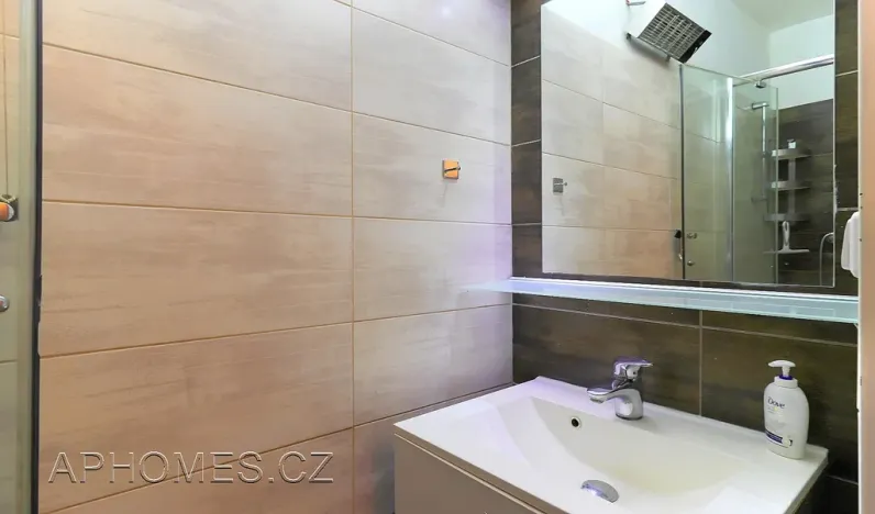 Pronájem bytu 1+kk, Praha - Holešovice, U průhonu, 22 m2