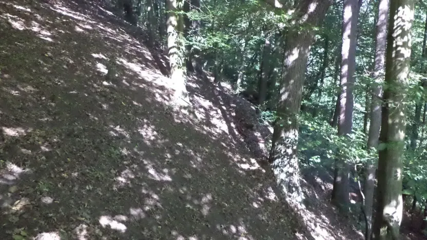 Prodej pozemku, Děčín, 675 m2