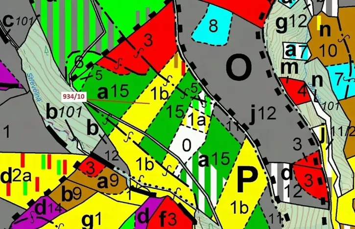 Dražba lesa, Jílové u Držkova, 4305 m2