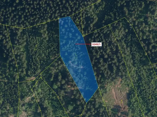 Dražba lesa, Velké Hamry, 5995 m2