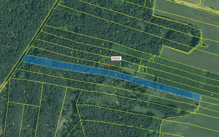 Dražba lesa, Jílovice, 13375 m2