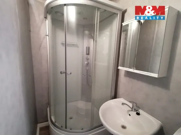 Pronájem bytu 1+kk, Ústí nad Labem - Krásné Březno, Dr. Horákové, 31 m2