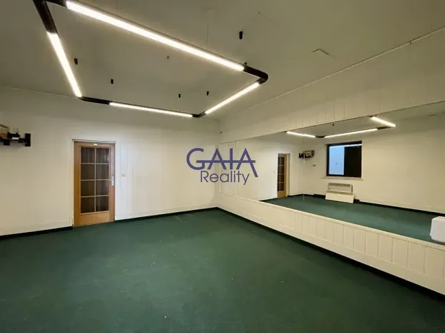 Pronájem obchodního prostoru, Veselí nad Moravou, Zámecká, 184 m2