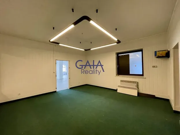 Pronájem obchodního prostoru, Veselí nad Moravou, Zámecká, 184 m2