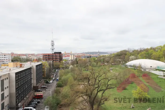 Pronájem bytu 1+kk, Praha - Žižkov, Pitterova, 66 m2