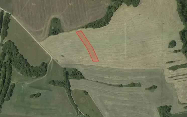 Prodej pole, Ostrov u Macochy, 16065 m2