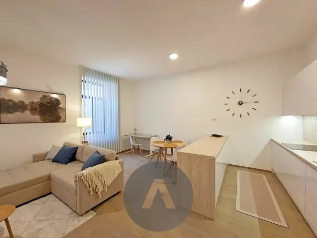 Pronájem bytu 2+kk, Brno, Leitnerova, 60 m2