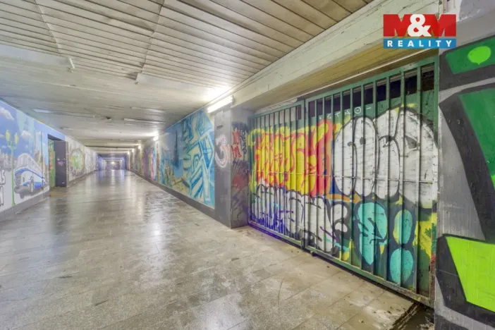 Pronájem skladu, Plzeň - Jižní Předměstí, Husova, 70 m2