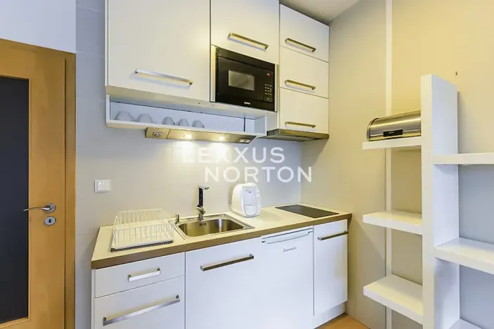 Pronájem bytu 1+kk, Praha - Smíchov, Jeřabinová, 33 m2