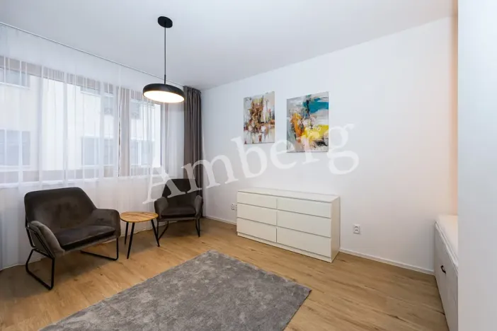Pronájem bytu 1+kk, Praha - Karlín, Křižíkova, 32 m2